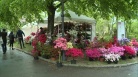 Torrenti, Horti Triestini valorizza Parco San Giovanni